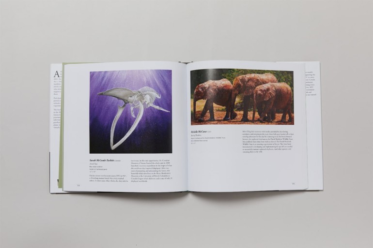 Print Publication Exhibition Catalogue