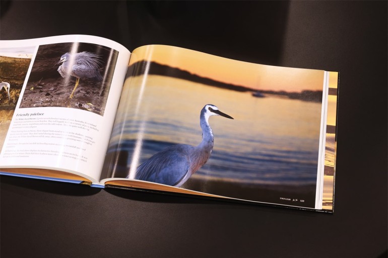 Print Publication Landscape Hardcover Books