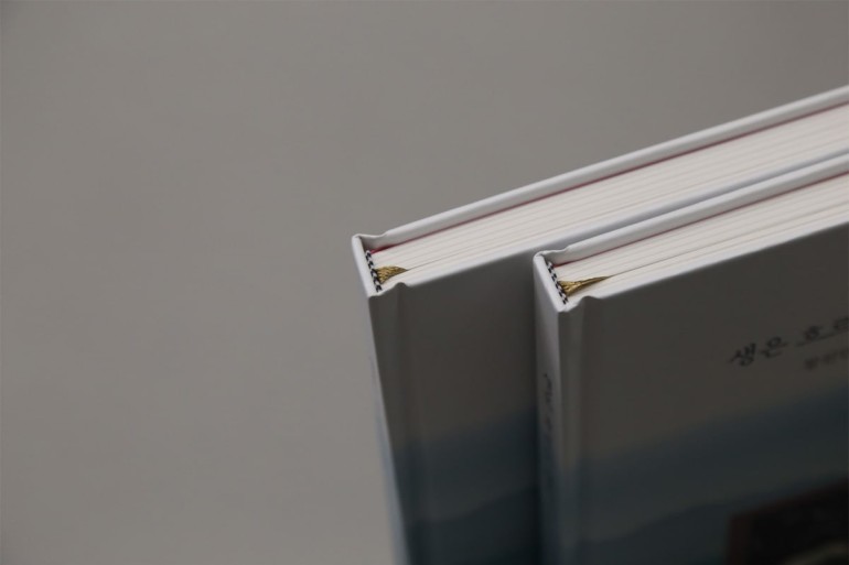 Print Publication Poetry Books