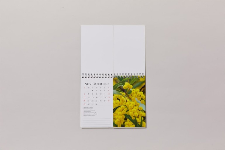 Double view desk calendar