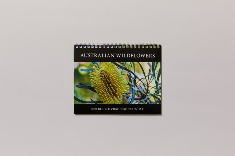 Double view desk calendar